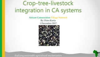 Realizing sustainable agricultural mechanisation
African Conservation Tillage Network
By: Peter Kuria
1 December 2017
Crop-tree-livestock
integration in CA systems
 