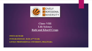 Class- VIII
Life Science
Rabi and Kharif Crops
SWETA KUMARI
INTEGRATED B.SC. B.ED. (4TH YEAR)
LOVELY PROFESSIONAL UNIVERSITY, PHAGWARA
 