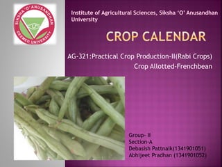 AG-321:Practical Crop Production-II(Rabi Crops)
Crop Allotted-Frenchbean
Group- II
Section-A
Debasish Pattnaik(1341901051)
Abhijeet Pradhan (1341901052)
 