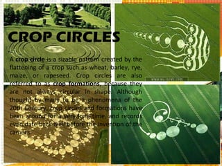 A  crop circle  is a sizable pattern created by the flattening of a crop such as wheat, barley, rye, maize, or rapeseed. Crop circles are also referred to as  crop formations , because they are not always circular in shape. Although thought by many to be a phenomena of the 20th Century, crop circles and formations have been around for a very long time, and records even date back well before the invention of the camera.  CROP CIRCLES 
