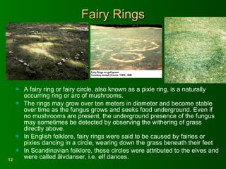 Fairy Rings A fairy ring or fairy circle, also known as a pixie ring, is a naturally occurring ring or arc of mushrooms.  The rings may grow over ten meters in diameter and become stable over time as the fungus grows and seeks food underground. Even if no mushrooms are present, the underground presence of the fungus may sometimes be detected by observing the withering of grass directly above. In English folklore, fairy rings were said to be caused by fairies or pixies dancing in a circle, wearing down the grass beneath their feet In Scandinavian folklore, these circles were attributed to the elves and were called älvdanser, i.e. elf dances. 