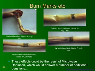 Burn Marks etc These effects could be the result of Microwave Radiation, which would answer a number of additional questions… http://www.phenomenonresearch.com/   Barley Mansfield, Notts, 6 th  July 1991 Wheat - Sutton on Trent, Notts, 6 th  July 1991 Wheat - Husbands Bosworth, Notts, 7 th  July 1990 Wheat - Southwell, Notts, 7 th  July 1990 