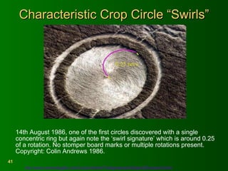 Characteristic Crop Circle “Swirls” 14th August 1986, one of the first circles discovered with a single concentric ring but again note the ‘swirl signature’ which is around 0.25 of a rotation. No stomper board marks or multiple rotations present. Copyright: Colin Andrews 1986.     http://www.memorologyllc.com/CropCircleInfo/TheSignatureAndSignsOfContact-03.htm   