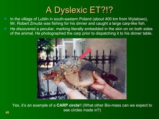 A Dyslexic ET?!? In the village of Lublin in south-eastern Poland (about 400 km from Wylatowo), Mr. Robert Zmuda was fishing for his dinner and caught a large carp-like fish.  He discovered a peculiar, marking literally embedded in the skin on on both sides of the animal. He photographed the carp prior to dispatching it to his dinner table.  Yes, it’s an example of a  CARP circle !! (What other Bio-mass can we expect to see circles made in?) 