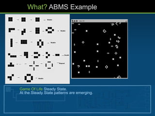 What? ABMS Example
Game Of Life Steady State.
At the Steady State patterns are emerging.
 