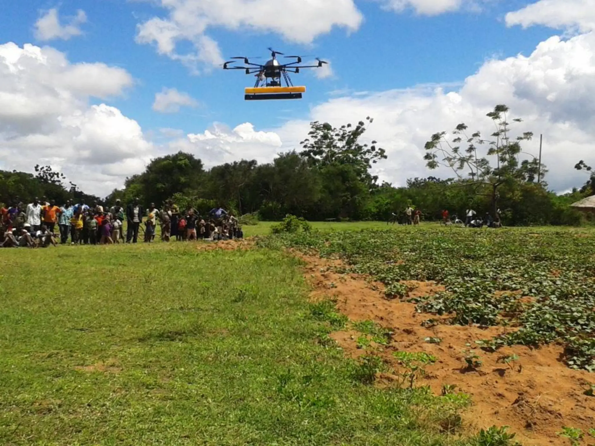 Crop Discrimination and Yield Monitoring in  Precision Agriculture.pdf