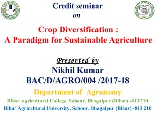 Credit seminar
on
Crop Diversification :
A Paradigm for Sustainable Agriculture
Presented by
Nikhil Kumar
BAC/D/AGRO/004 /2017-18
Department of Agronomy
Bihar Agricultural College, Sabour, Bhagalpur (Bihar) -813 210
Bihar Agricultural University, Sabour, Bhagalpur (Bihar) -813 210
 