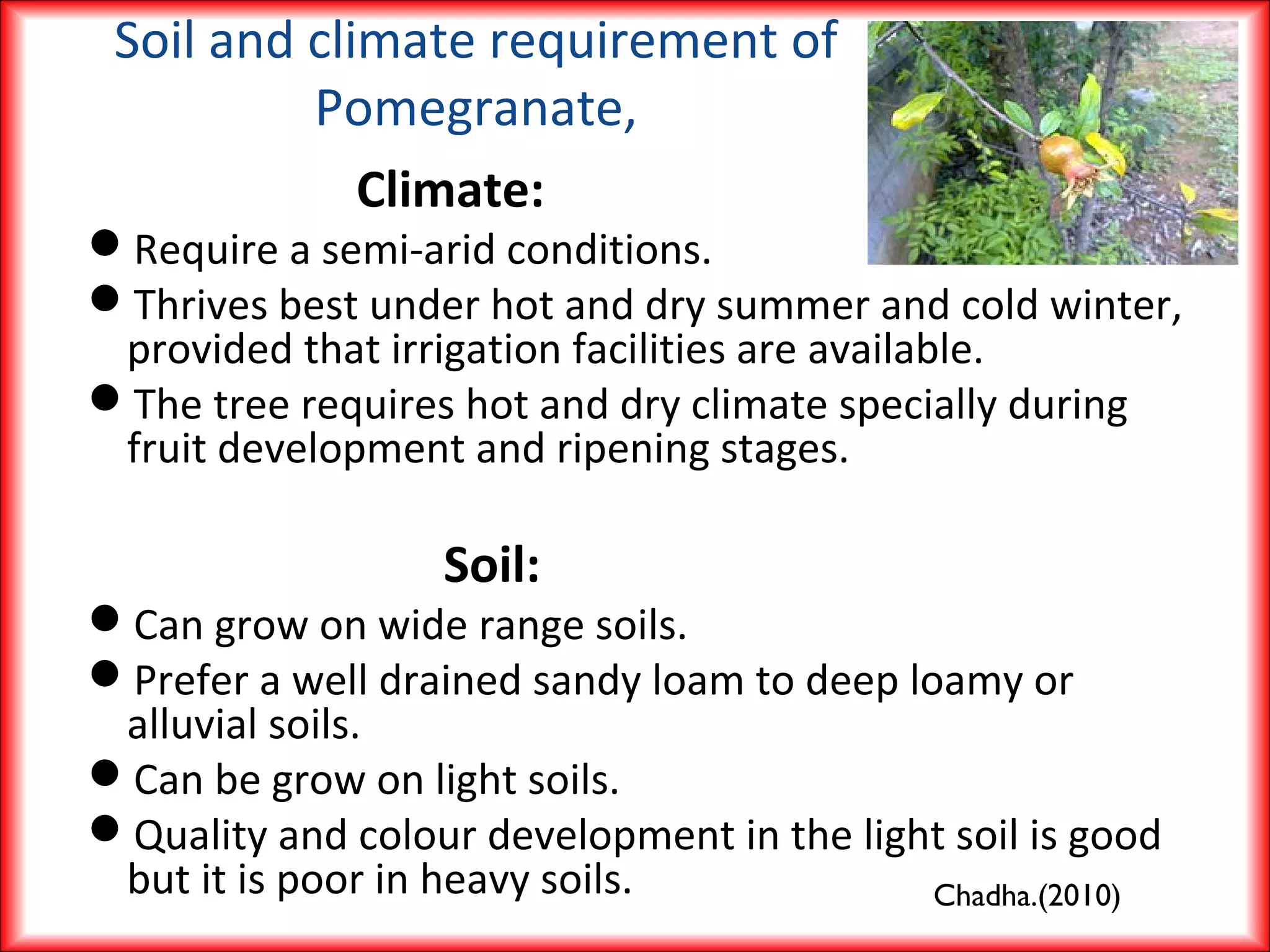 Climate:
Require a semi-arid conditions.
Thrives best under hot and dry summer and cold winter,
provided that irrigation facilities are available.
The tree requires hot and dry climate specially during
fruit development and ripening stages.
Soil:
Can grow on wide range soils.
Prefer a well drained sandy loam to deep loamy or
alluvial soils.
Can be grow on light soils.
Quality and colour development in the light soil is good
but it is poor in heavy soils.
Soil and climate requirement of
Pomegranate,
Chadha.(2010)
 