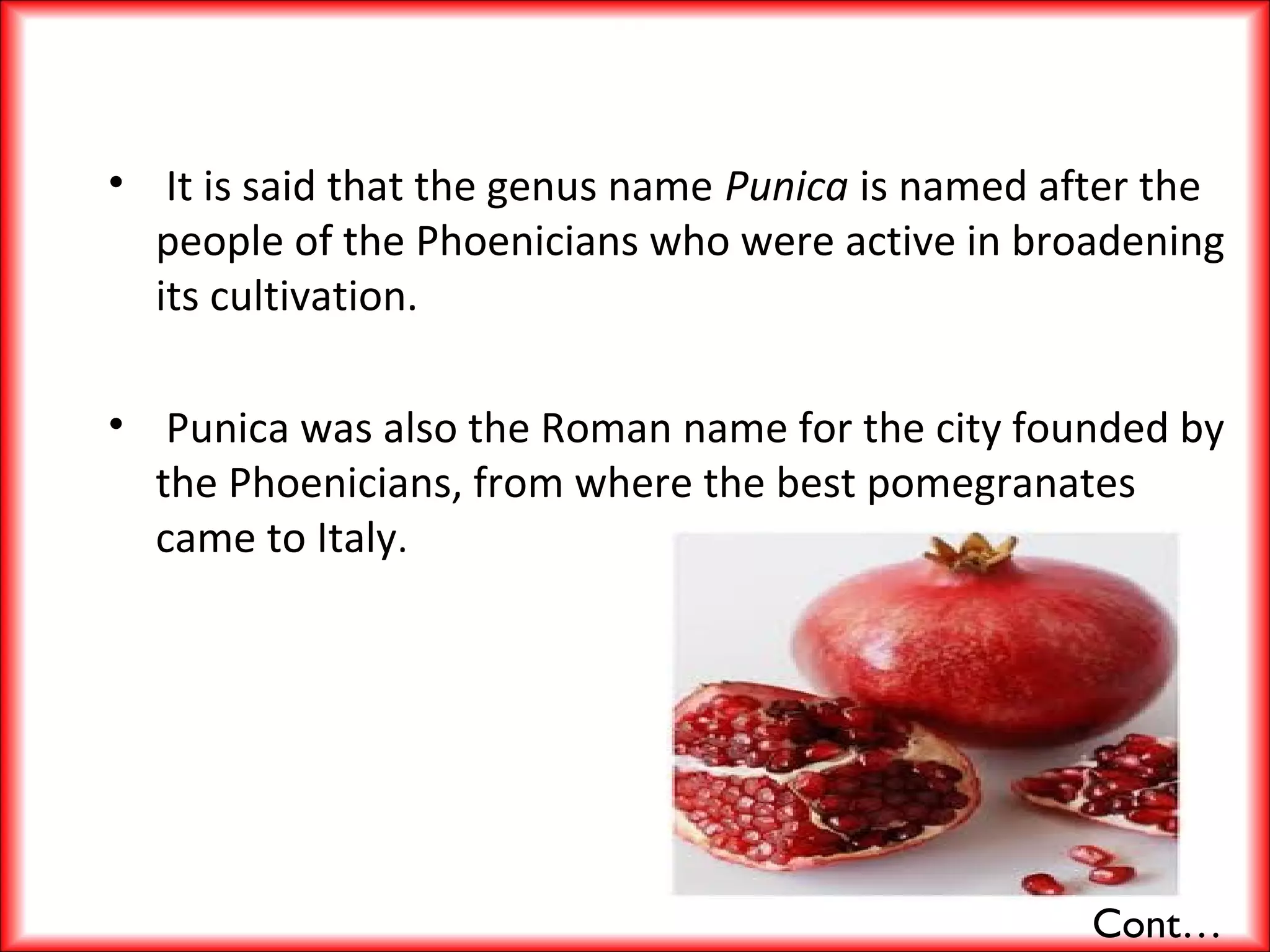 • It is said that the genus name Punica is named after the
people of the Phoenicians who were active in broadening
its cultivation.
• Punica was also the Roman name for the city founded by
the Phoenicians, from where the best pomegranates
came to Italy.
Cont…
 