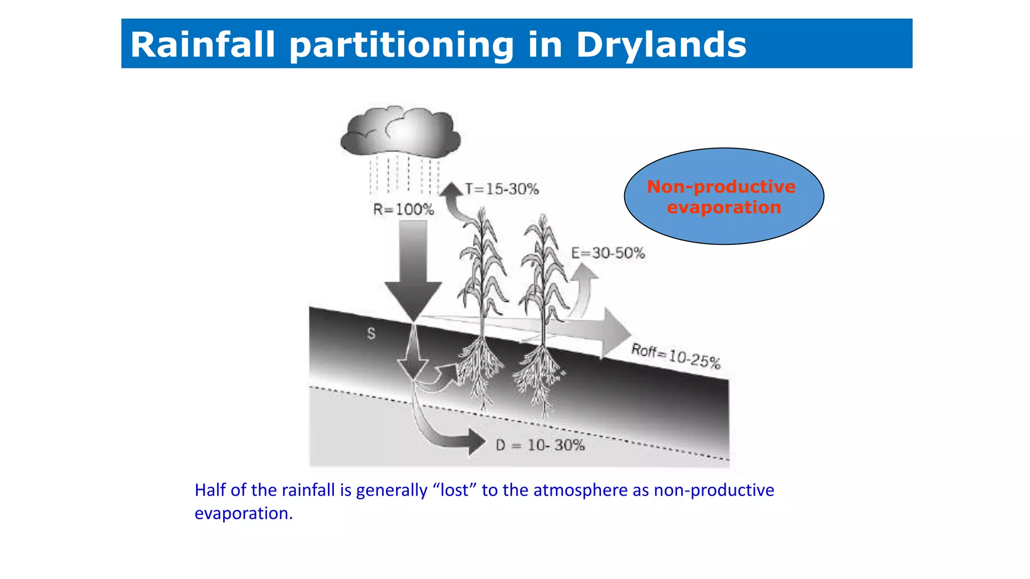 Half of the rainfall is generally “lost” to the atmosphere as non-productive
evaporation.
Non-productive
evaporation
Rainfall partitioning in Drylands
 