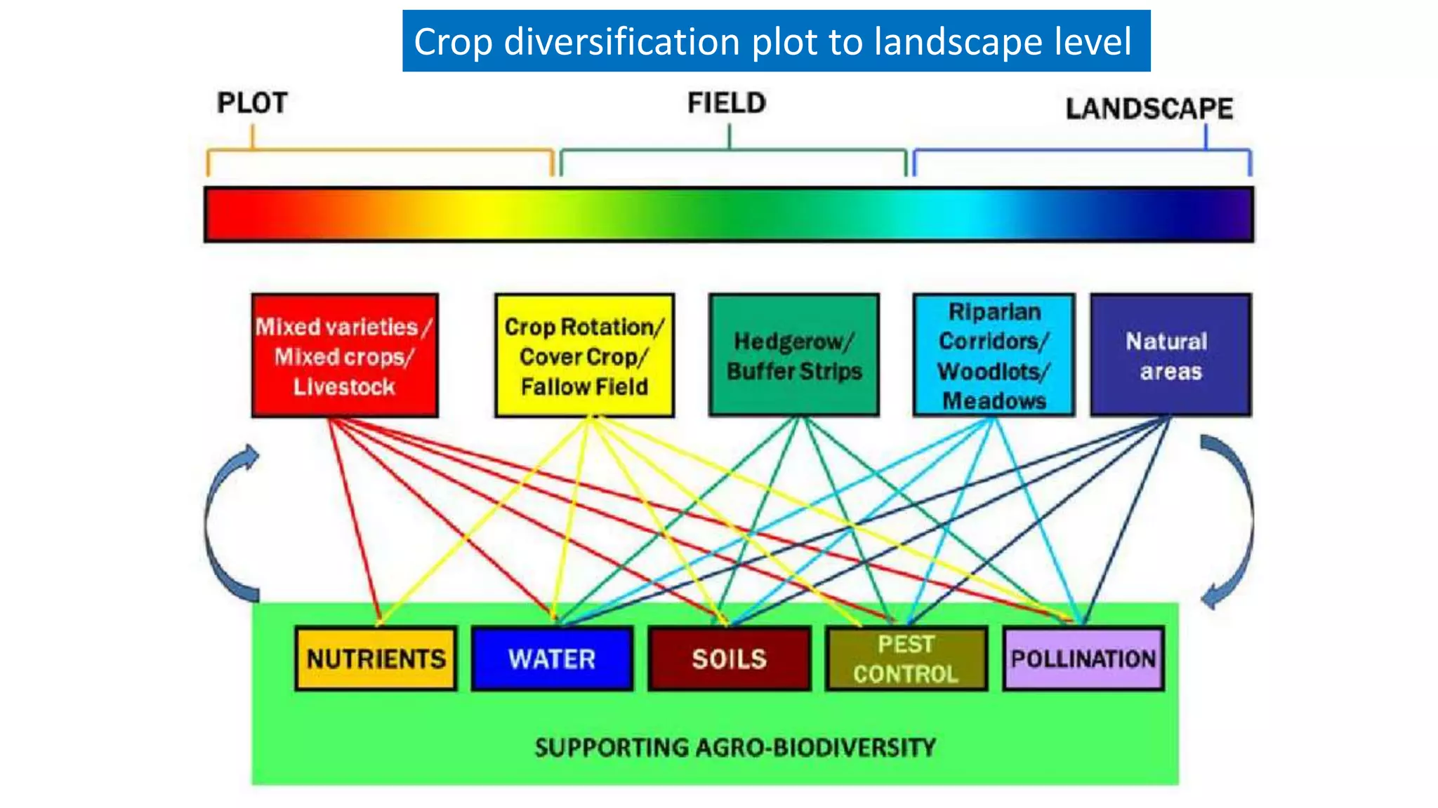 Crop diversification plot to landscape level
 