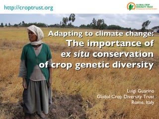 Adapting to climate change: The importance of ex situ  conservation of crop genetic diversity Luigi Guarino Global Crop Diversity Trust Rome, Italy http:// croptrust.org 