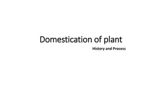 Domestication of plant
History and Process
 