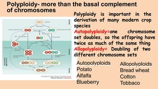 Domestication of Crop plants | PPTX