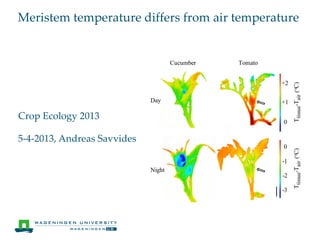 Meristem temperature differs from air temperature




Crop Ecology 2013

5-4-2013, Andreas Savvides
 