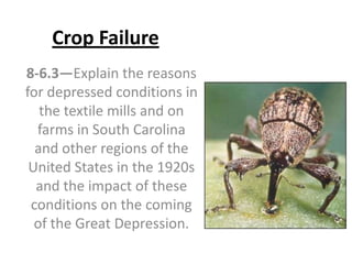 Crop Failure
8-6.3—Explain the reasons
for depressed conditions in
the textile mills and on
farms in South Carolina
and other regions of the
United States in the 1920s
and the impact of these
conditions on the coming
of the Great Depression.
 