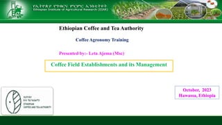 Coffee Field Establishments and its Management
October, 2023
Hawassa, Ethiopia
Ethiopian Coffee and Tea Authority
Coffee Agronomy Training
Presented by:- Leta Ajema (Msc)
 