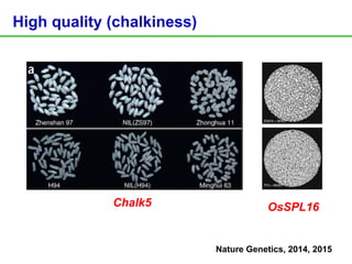Crop genetic improvement and utilization in china. xinhai li | PPT