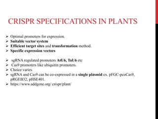 CRISPR SPECIFICATIONS IN PLANTS
 Optimal promoters for expression.
 Suitable vector system
 Efficient target sites and transformation method.
 Specific expression vectors
 sgRNA regulated promoters AtU6, TaU6 etc
 Cas9 promoters like ubiquitin promoters.
 Choice varies
 sgRNA and Cas9 can be co-expressed in a single plasmid ex. pFGC-pcoCas9,
pRGEB32, pHSE401.
 https://www.addgene.org/ crispr/plant/
 