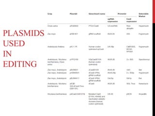PLASMIDS
USED
IN
EDITING
 