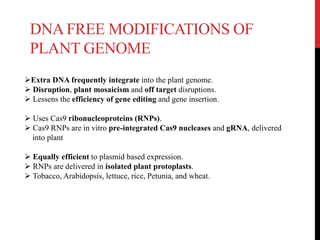 DNA FREE MODIFICATIONS OF
PLANT GENOME
Extra DNA frequently integrate into the plant genome.
 Disruption, plant mosaicism and off target disruptions.
 Lessens the efficiency of gene editing and gene insertion.
 Uses Cas9 ribonucleoproteins (RNPs).
 Cas9 RNPs are in vitro pre-integrated Cas9 nucleases and gRNA, delivered
into plant
 Equally efficient to plasmid based expression.
 RNPs are delivered in isolated plant protoplasts.
 Tobacco, Arabidopsis, lettuce, rice, Petunia, and wheat.
 