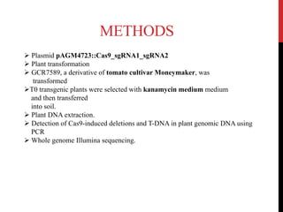 METHODS
 Plasmid pAGM4723::Cas9_sgRNA1_sgRNA2
 Plant transformation
 GCR7589, a derivative of tomato cultivar Moneymaker, was
transformed
T0 transgenic plants were selected with kanamycin medium medium
and then transferred
into soil.
 Plant DNA extraction.
 Detection of Cas9-induced deletions and T-DNA in plant genomic DNA using
PCR
 Whole genome Illumina sequencing.
 