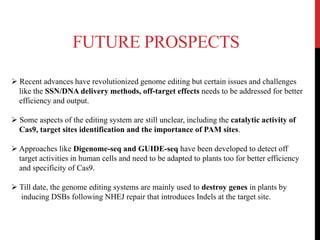 FUTURE PROSPECTS
 Recent advances have revolutionized genome editing but certain issues and challenges
like the SSN/DNA delivery methods, off-target effects needs to be addressed for better
efficiency and output.
 Some aspects of the editing system are still unclear, including the catalytic activity of
Cas9, target sites identification and the importance of PAM sites.
 Approaches like Digenome-seq and GUIDE-seq have been developed to detect off
target activities in human cells and need to be adapted to plants too for better efficiency
and specificity of Cas9.
 Till date, the genome editing systems are mainly used to destroy genes in plants by
inducing DSBs following NHEJ repair that introduces Indels at the target site.
 