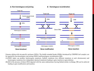 Genome editing with site-specific nucleases (SSNs). The double stranded breaks (DSBs) introduced by CRISPR/Cas9 complex can
be repaired by non-homologous end joining (NHEJ) and homologous recombination (HR).
(A)NHEJ repair can produce heterozygous mutations, biallelic mutations (two different mutations at each chromosome) and
homozygous mutations (two independent identical mutations) leading to gene insertion or gene deletion.
(B) (B) In the presence of donor DNA digested with the same endonuclease leaving behind similar overhangs, HR can be achieved
leading to gene modification and insertion.
 