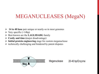  14 to 40 base pair unique or nearly-so in most genomes
 Very specific (>14bp)
 Best known are the LAGLIDADG family
 Costly and time (major disadvantage)
 Initial protein engineering stage for custom meganuclease
 technically challenging and hindered by patent disputes
MEGANUCLEASES (MegaN)
 