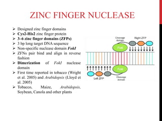 ZINC FINGER NUCLEASE
 Designed zinc finger domains
 Cys2-His2 zinc finger protein
 3–6 zinc finger domains (ZFPs)
 3 bp long target DNA sequence
 Non-specific nuclease domain FokI
 ZFNs pair bind and align in reverse
fashion
 Dimerization of FokI nuclease
domain
 First time reported in tobacco (Wright
et al. 2005) and Arabidopsis (Lloyd et
al. 2005)
 Tobacco, Maize, Arabidopsis,
Soybean, Canola and other plants
 