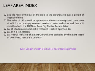  It is the ratio of the leaf of the crop to the ground area over a period of
interval of time
 The value of LAI should be optimum at the maximum ground cover area
at which crop canopy receives maximum solar radiation and hence it
directly affects the TDMA or Total Dry Matter Accumulation.
 LAI at which maximum CGR is recorded is called optimum Lai
 LAI of 4-6 is necessary
 LAI =Total leaf area of a plant/Ground area occupied by the plant (Ratio
of two areas , hence it is unitless)
LAI= Length x width x k (0.75) x no. of leaves per tiller
 
