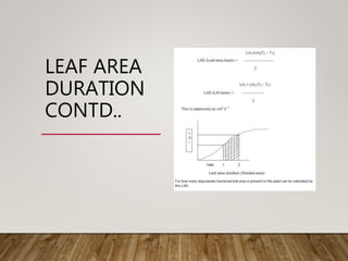 LEAF AREA
DURATION
CONTD..
 