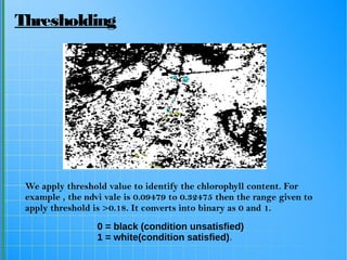We apply threshold value to identify the chlorophyll content. For
example , the ndvi vale is 0.09479 to 0.32475 then the range given to
apply threshold is >0.18. It converts into binary as 0 and 1.
0 = black (condition unsatisfied)
1 = white(condition satisfied).
Thresholding
 