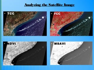 Analyzing the Satellite Image
●
TCC ●
FCC
●
MSAVI●
NDVI
 