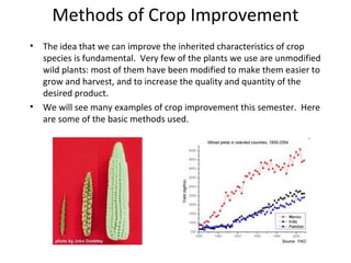 Methods of Crop Improvement
•

•

The idea that we can improve the inherited characteristics of crop
species is fundamental. Very few of the plants we use are unmodified
wild plants: most of them have been modified to make them easier to
grow and harvest, and to increase the quality and quantity of the
desired product.
We will see many examples of crop improvement this semester. Here
are some of the basic methods used.

 