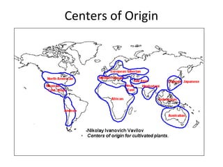 Centers of Origin

 
