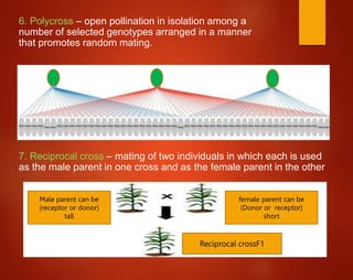 6. Polycross – open pollination in isolation among a
number of selected genotypes arranged in a manner
that promotes random mating.
7. Reciprocal cross – mating of two individuals in which each is used
as the male parent in one cross and as the female parent in the other
Male parent can be
(receptor or donor)
tall
female parent can be
(Donor or receptor)
short
Reciprocal crossF1
 