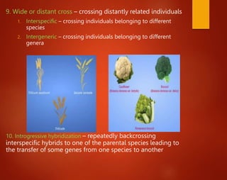 9. Wide or distant cross – crossing distantly related individuals
1. Interspecific – crossing individuals belonging to different
species
2. Intergeneric – crossing individuals belonging to different
genera
10. Introgressive hybridization – repeatedly backcrossing
interspecific hybrids to one of the parental species leading to
the transfer of some genes from one species to another
 