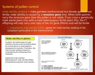Systems of pollen control
male sterility systems – male gametes nonfunctional but female gametes are
fertile, male sterility is caused by a recessive gene (ms). When both parents
carry the recessive gene then the pollen is not viable. If you cross a genetically
male sterile plant (ms) with a male heterozygous fertile plant (Ms), the F1
offspring will only carry one copy of the ms gene (Msms) and will be fertile.
1. Cytoplasmic male sterility (CMS) – genes for male sterility residing in the
cytoplasm particularly in the mitochondrion
 