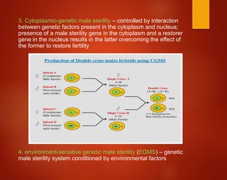 3. Cytoplasmic-genetic male sterility – controlled by interaction
between genetic factors present in the cytoplasm and nucleus;
presence of a male sterility gene in the cytoplasm and a restorer
gene in the nucleus results in the latter overcoming the effect of
the former to restore fertility
4. environment-sensitive genetic male sterility (EGMS) – genetic
male sterility system conditioned by environmental factors
 