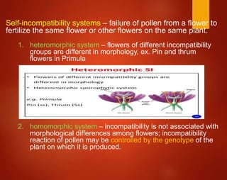 Self-incompatibility systems – failure of pollen from a flower to
fertilize the same flower or other flowers on the same plant.
1. heteromorphic system – flowers of different incompatibility
groups are different in morphology, ex. Pin and thrum
flowers in Primula
2. homomorphic system – incompatibility is not associated with
morphological differences among flowers; incompatibility
reaction of pollen may be controlled by the genotype of the
plant on which it is produced.
 