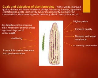 Goals and objectives of plant breeding – higher yields, improved
quality, disease and insect resistance, change in maturity duration, agronomic
characteristics, photo insensitivity, synchronous maturity, no shattering
characteristics, determinate growth, dormancy, abiotic stress tolerance, etc.
Higher yields
Improve quality
Disease and insect
resistance
day-length sensitive, meaning
that it won't flower and fruit unless
nights and days are of
similar length.
no shattering characteristics
shattering
Low abiotic stress tolerance
and pest resistance
 
