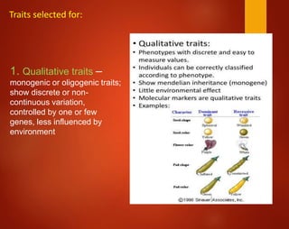 1. Qualitative traits –
monogenic or oligogenic traits;
show discrete or non-
continuous variation,
controlled by one or few
genes, less influenced by
environment
Traits selected for:
 