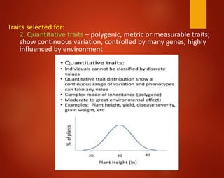 Traits selected for:
2. Quantitative traits – polygenic, metric or measurable traits;
show continuous variation, controlled by many genes, highly
influenced by environment
 