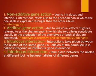 3. Non-additive gene action – due to intralocus and
interlocus interactions, refers also to the phenomenon in which the
one allele is expressed stronger than the other alleles.
.(Heterozygous)
4. Additive gene action – due to individual effects of genes,
referred to as the phenomenon in which the two alleles contribute
equally to the production of the phenotype or both alleles are
expressed. (Homozygous recessive and Homozygous Dominant)
5. Intralocus interaction –Interactions take place between
the alleles of the same gene i.e., alleles at the same locus is
called intragenic or intralocus gene interaction.
6. Interlocus interaction - take place between the alleles
at different loci i.e between alleles of different genes.
 