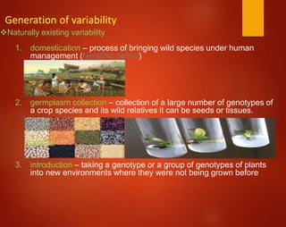 Naturally existing variability
1. domestication – process of bringing wild species under human
management (Neolithic period)
2. germplasm collection – collection of a large number of genotypes of
a crop species and its wild relatives it can be seeds or tissues.
3. introduction – taking a genotype or a group of genotypes of plants
into new environments where they were not being grown before
Generation of variability
 