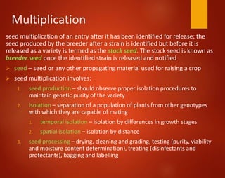 Multiplication
seed multiplication of an entry after it has been identified for release; the
seed produced by the breeder after a strain is identified but before it is
released as a variety is termed as the stock seed. The stock seed is known as
breeder seed once the identified strain is released and notified
 seed – seed or any other propagating material used for raising a crop
 seed multiplication involves:
1. seed production – should observe proper isolation procedures to
maintain genetic purity of the variety
2. Isolation – separation of a population of plants from other genotypes
with which they are capable of mating
1. temporal isolation – isolation by differences in growth stages
2. spatial isolation – isolation by distance
3. seed processing – drying, cleaning and grading, testing (purity, viability
and moisture content determination), treating (disinfectants and
protectants), bagging and labelling
 
