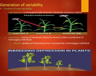 Generation of variability
 Creation of new variability
1. hybridization – crossing genetically dissimilar individuals; produces a hybrid
2. inbreeding – mating of individuals related by ancestry; leads to production of
homozygous individuals
1. Inbred – product of inbreeding hence consequently a homozygous individual
 