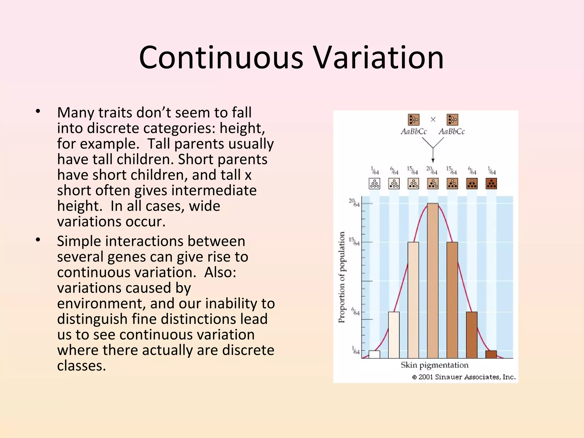 Continuous Variation
• Many traits don’t seem to fall
into discrete categories: height,
for example. Tall parents usually
have tall children. Short parents
have short children, and tall x
short often gives intermediate
height. In all cases, wide
variations occur.
• Simple interactions between
several genes can give rise to
continuous variation. Also:
variations caused by
environment, and our inability to
distinguish fine distinctions lead
us to see continuous variation
where there actually are discrete
classes.
 