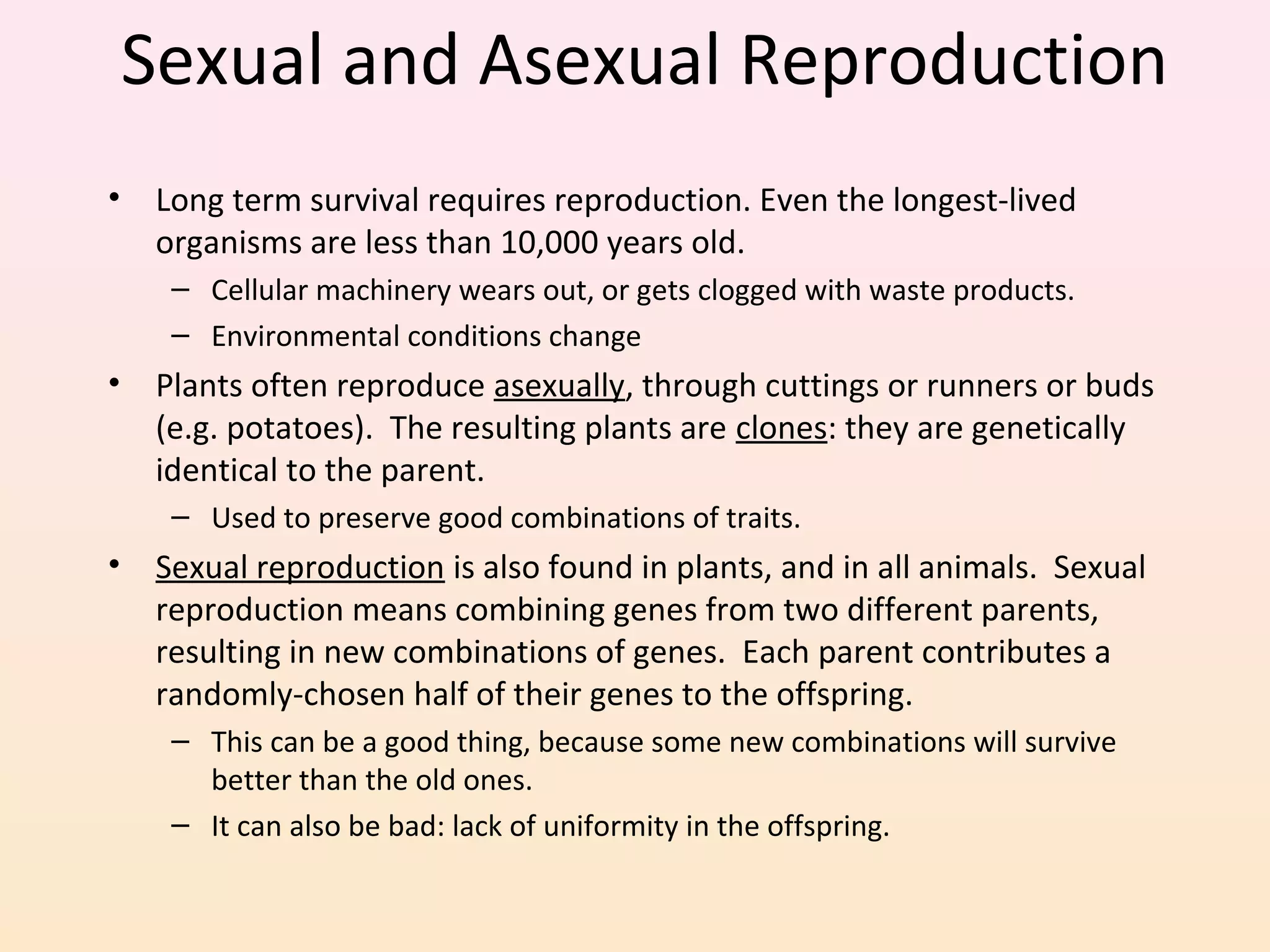 Sexual and Asexual Reproduction
• Long term survival requires reproduction. Even the longest-lived
organisms are less than 10,000 years old.
– Cellular machinery wears out, or gets clogged with waste products.
– Environmental conditions change
• Plants often reproduce asexually, through cuttings or runners or buds
(e.g. potatoes). The resulting plants are clones: they are genetically
identical to the parent.
– Used to preserve good combinations of traits.
• Sexual reproduction is also found in plants, and in all animals. Sexual
reproduction means combining genes from two different parents,
resulting in new combinations of genes. Each parent contributes a
randomly-chosen half of their genes to the offspring.
– This can be a good thing, because some new combinations will survive
better than the old ones.
– It can also be bad: lack of uniformity in the offspring.
 